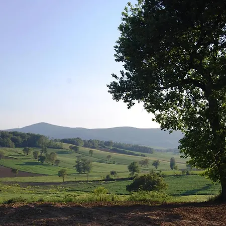 Casa Verdi Colli Apartamento