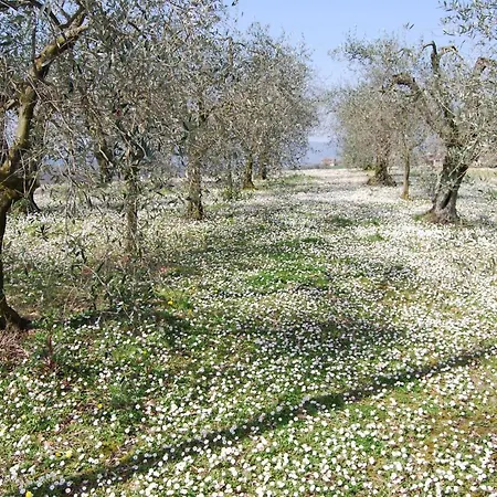 Apartamento Casa Verdi Colli