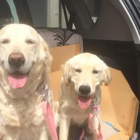 Daire Casa Verdi Colli