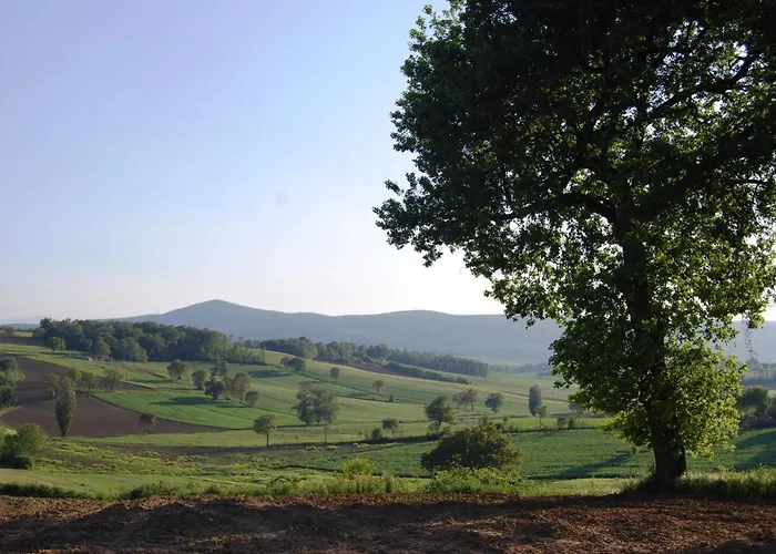 Casa Verdi Colli Apartamento