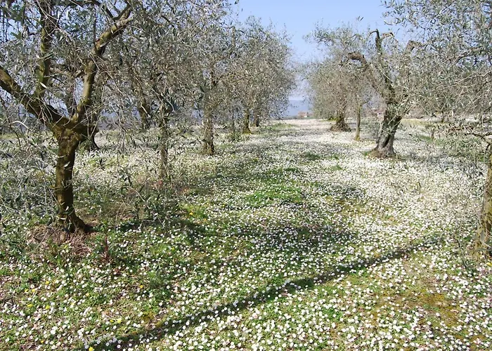 Apartmán Casa Verdi Colli
